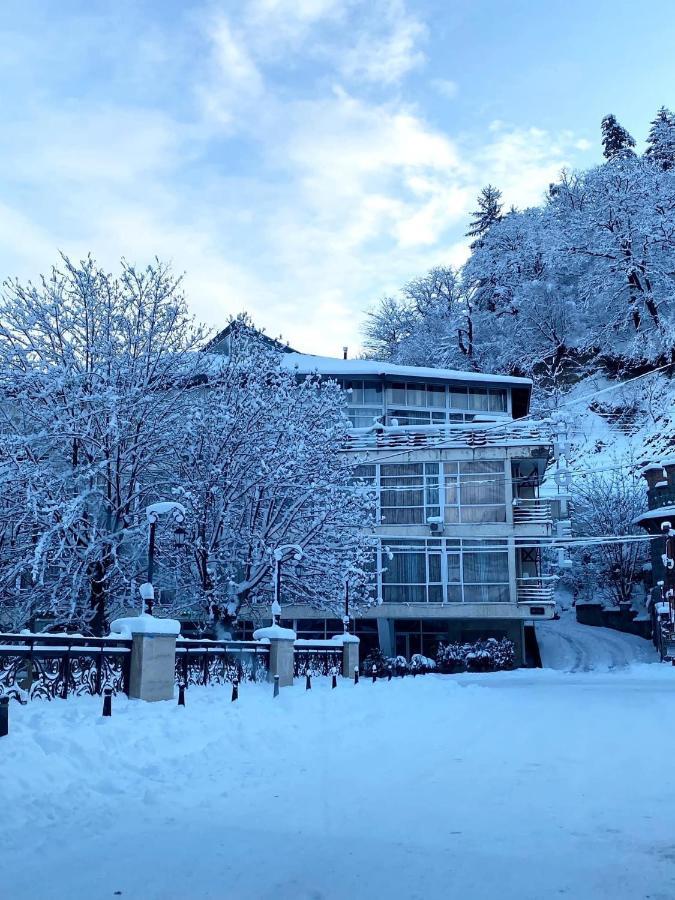 Guest House بورجومي المظهر الخارجي الصورة